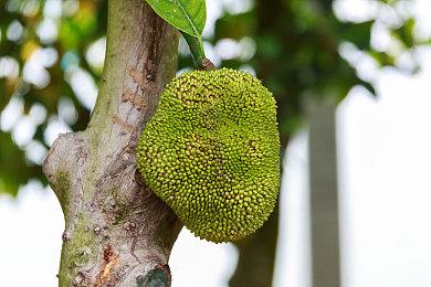 《加油站大亨》开发商新作《公路餐厅大亨》新宣传片